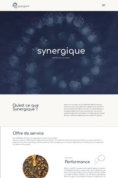 Synergique